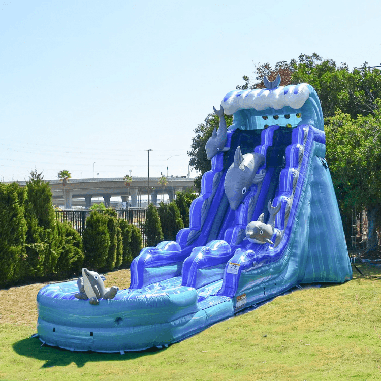 21” Dolphin Splash Water Slide